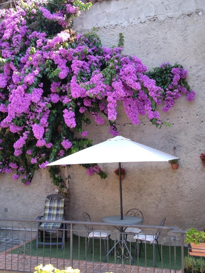 Appartement Il Giardino Di Laura à Toscolano Maderno Extérieur photo